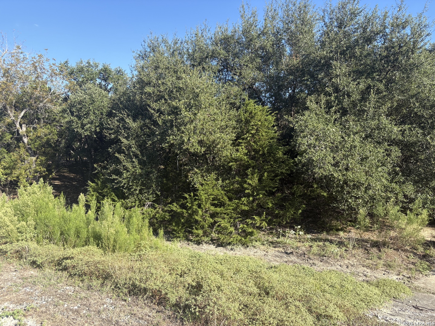 170 Lariat Trace Bandera TX 78003