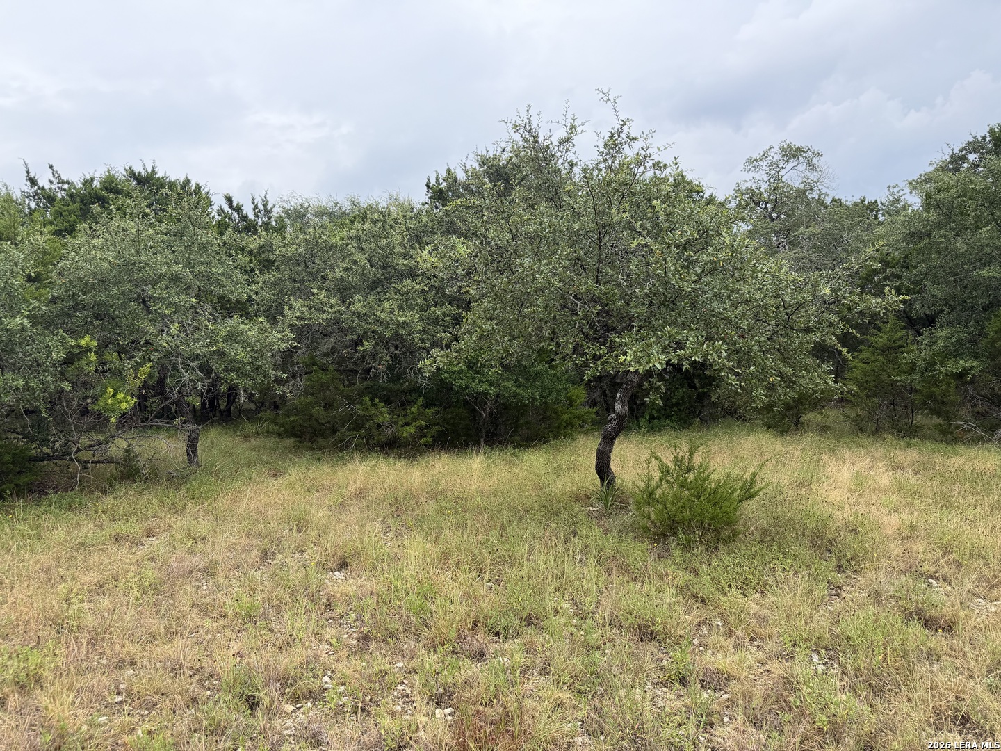 197 Rosenberry Bulverde TX 78163