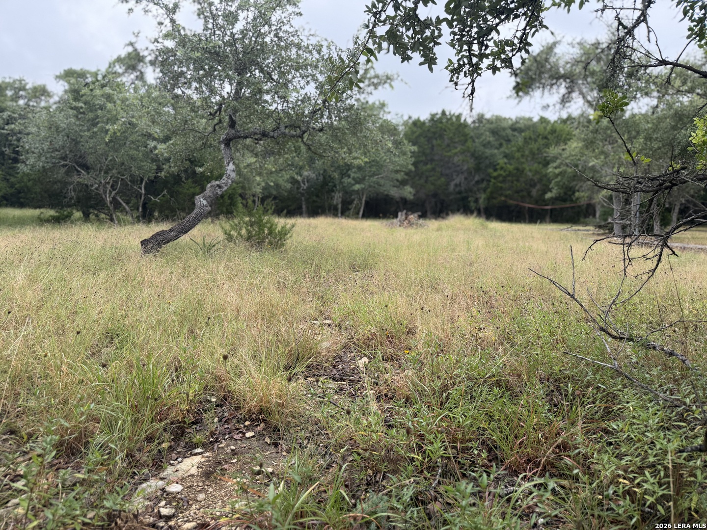 197 Rosenberry Bulverde TX 78163