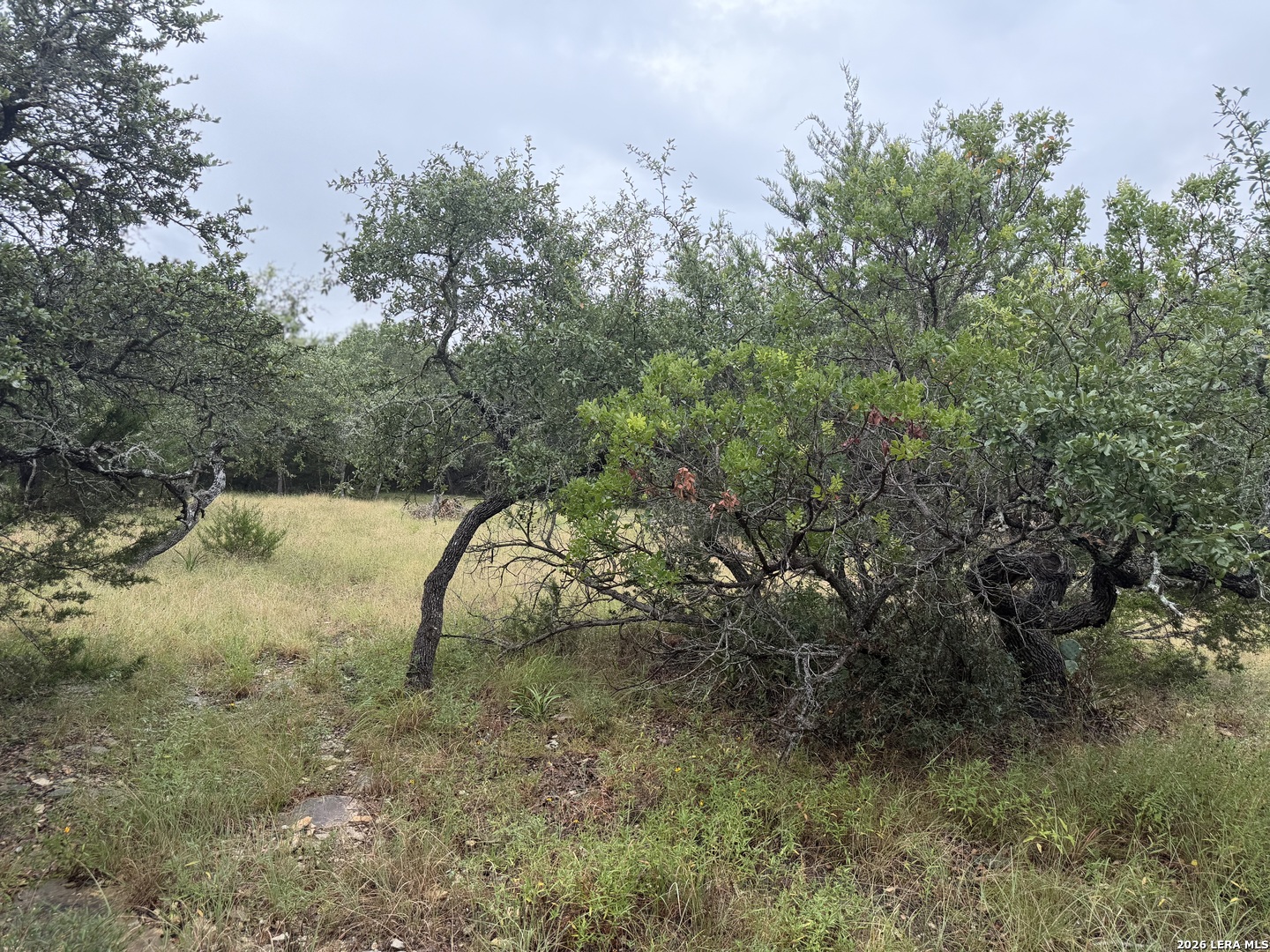 197 Rosenberry Bulverde TX 78163