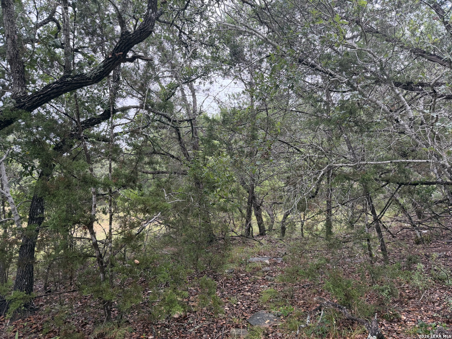 197 Rosenberry Bulverde TX 78163