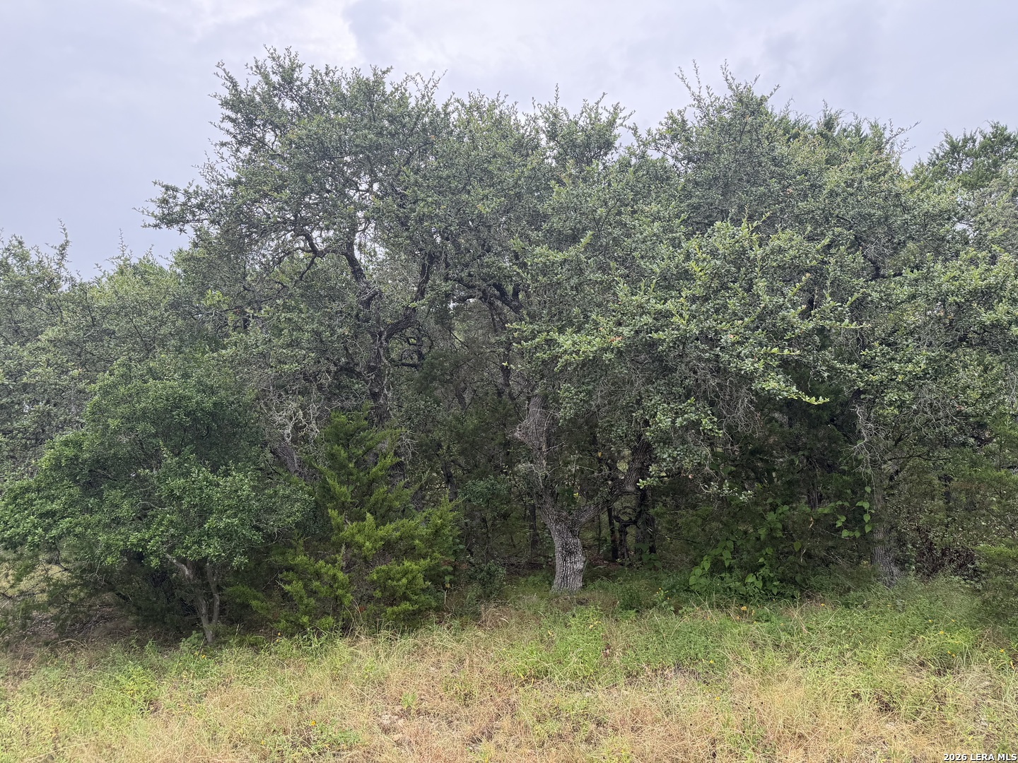 197 Rosenberry Bulverde TX 78163