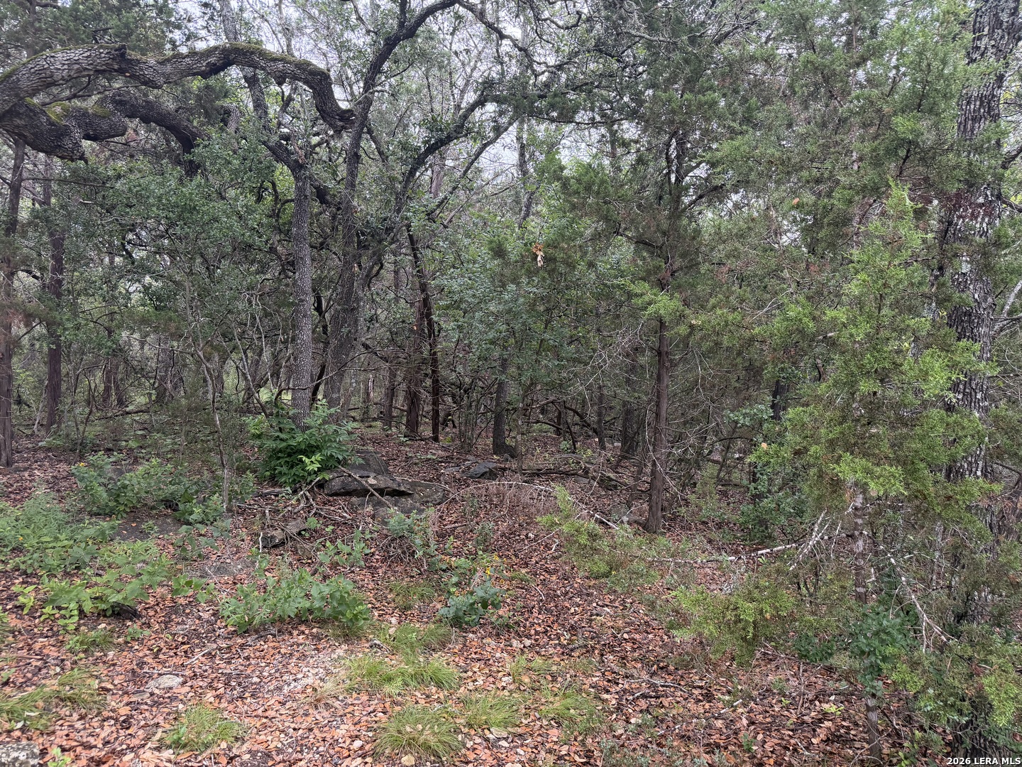 197 Rosenberry Bulverde TX 78163