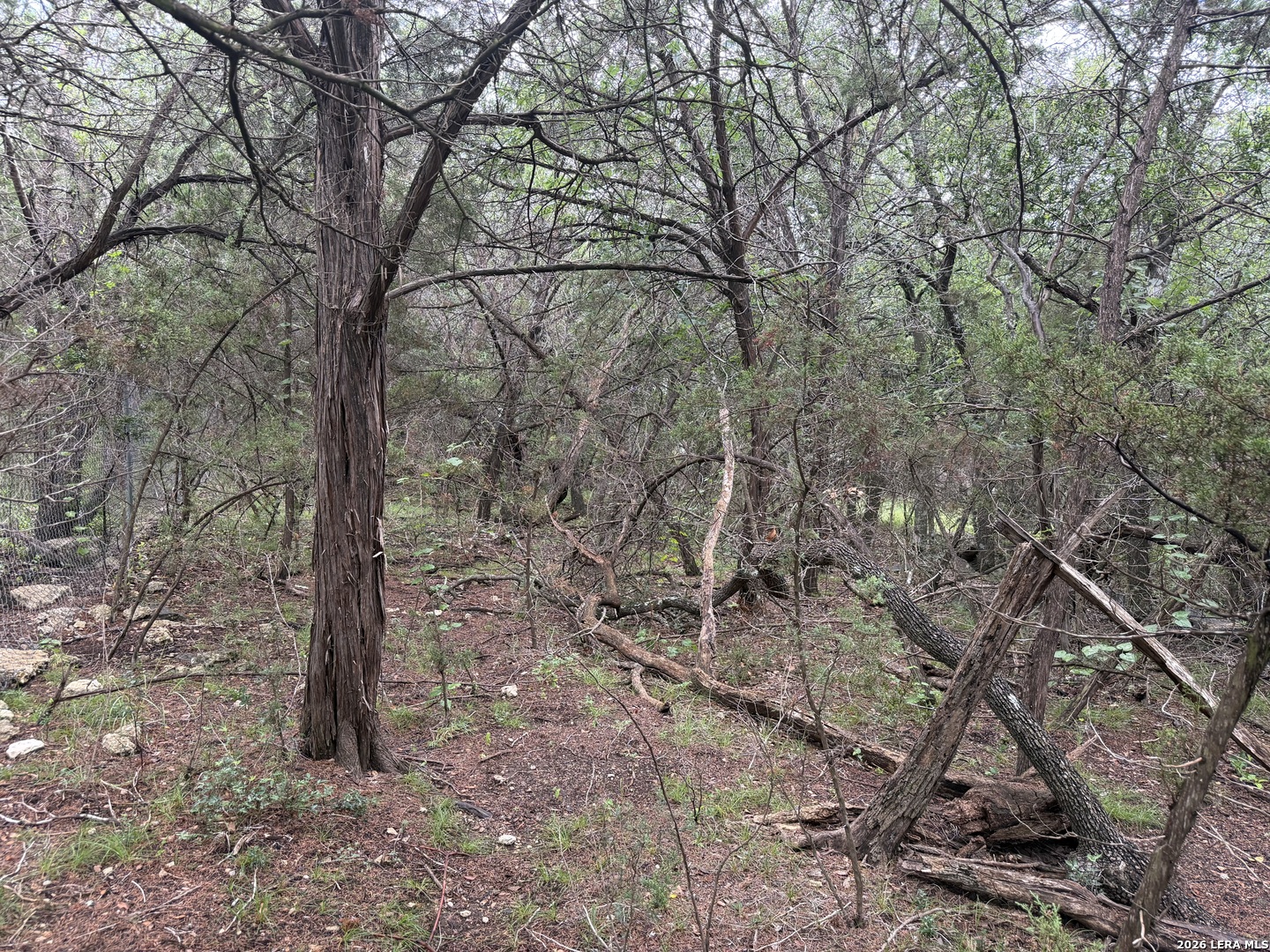 197 Rosenberry Bulverde TX 78163