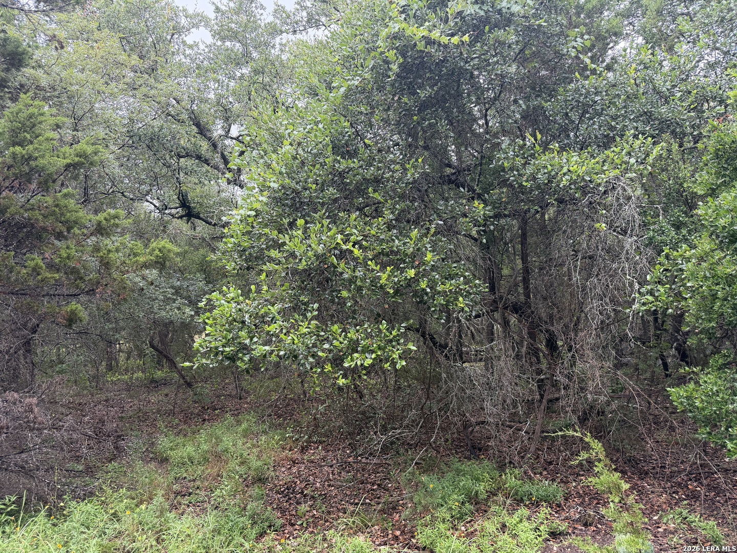 197 Rosenberry Bulverde TX 78163