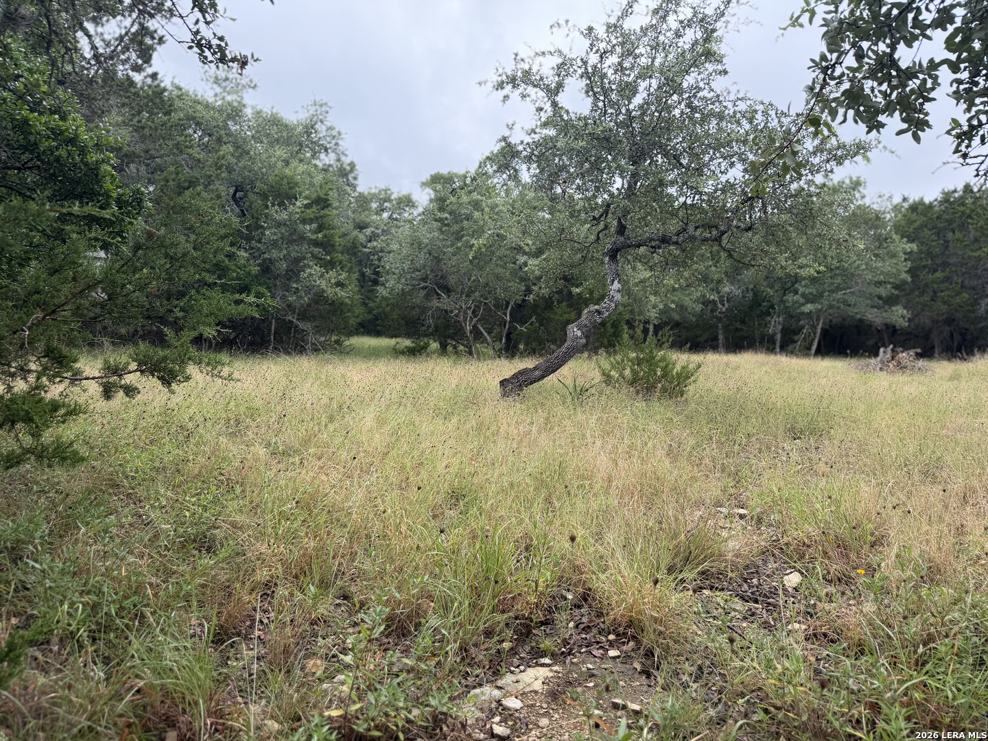 197 Rosenberry Bulverde TX 78163