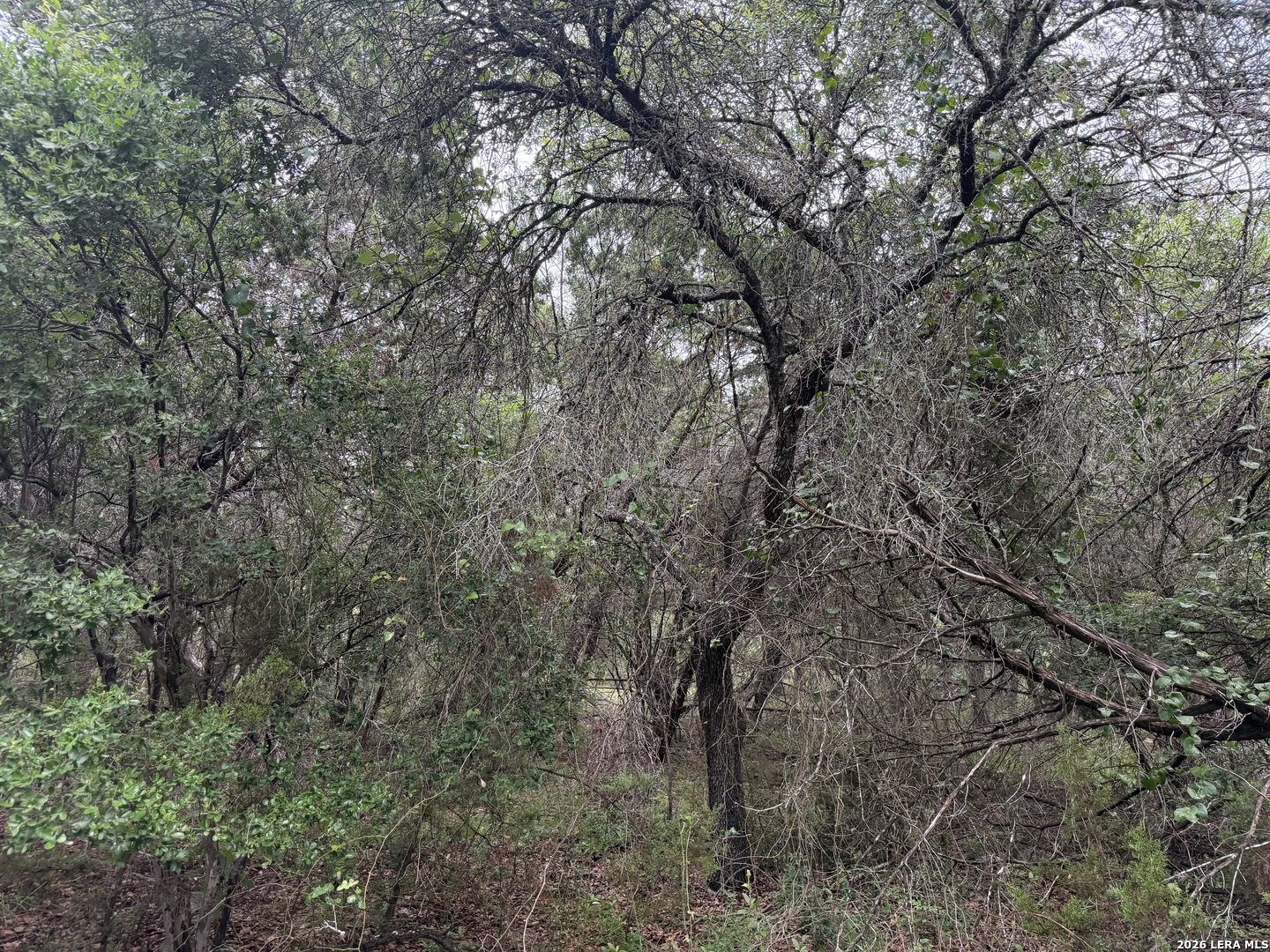 197 Rosenberry Bulverde TX 78163