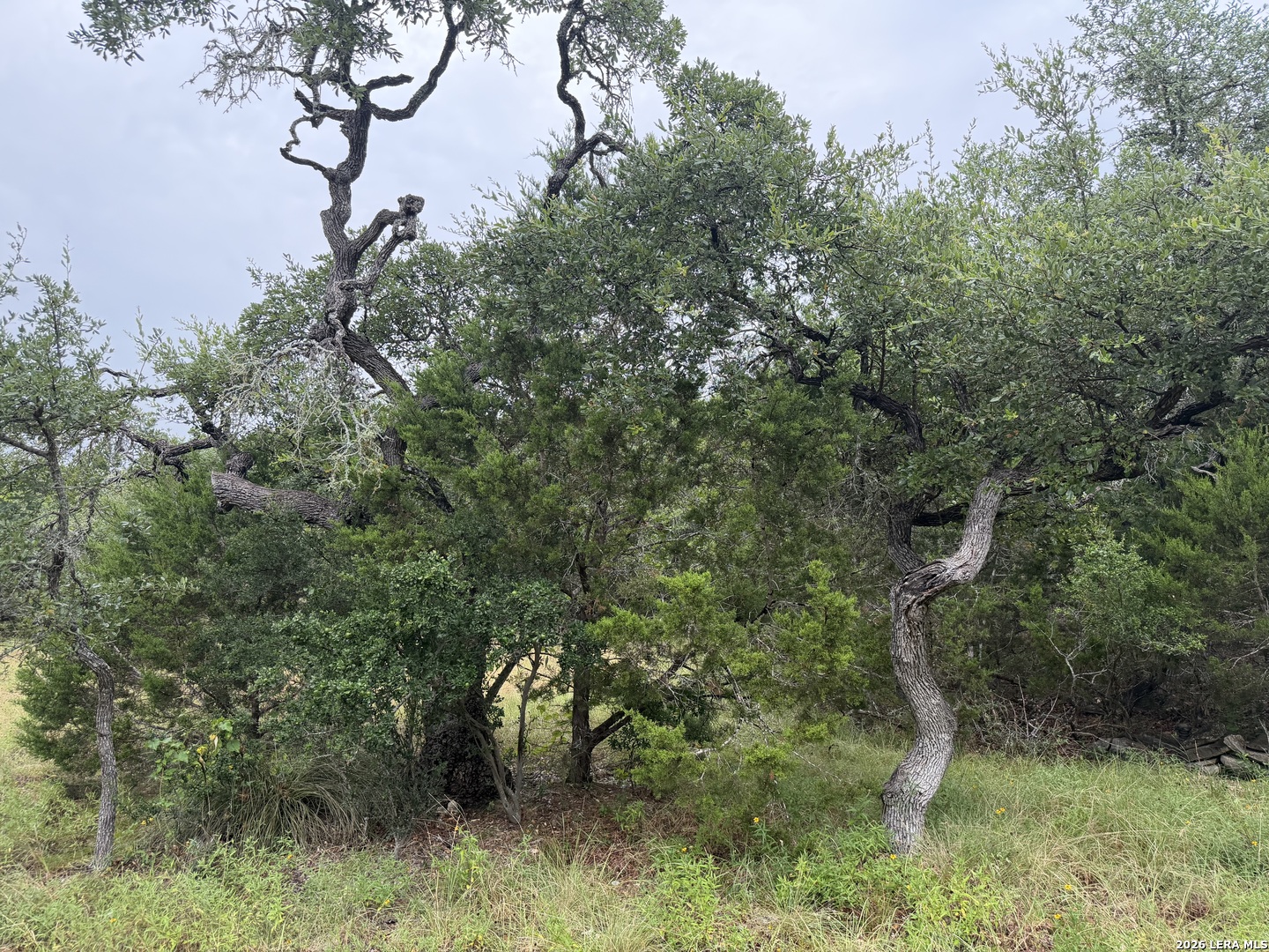 197 Rosenberry Bulverde TX 78163