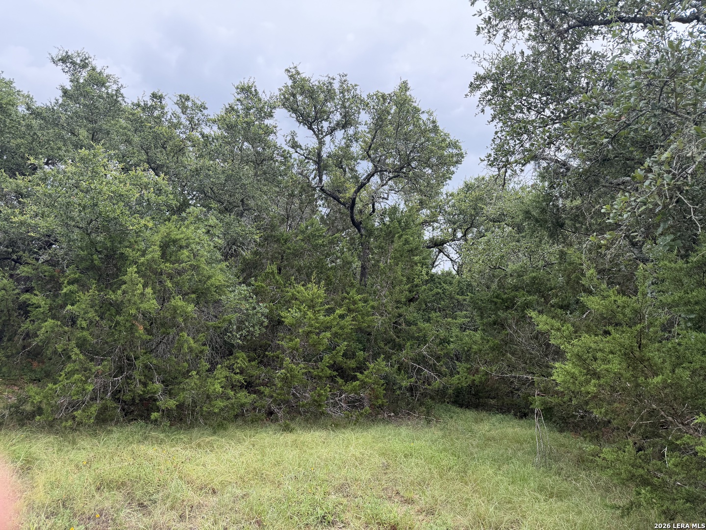 197 Rosenberry Bulverde TX 78163