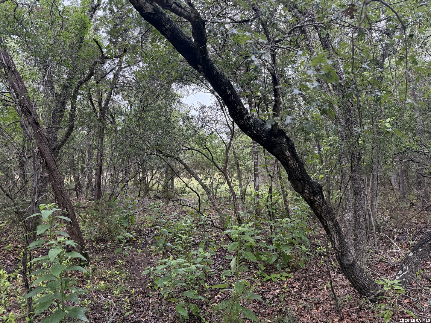 197 Rosenberry Bulverde TX 78163
