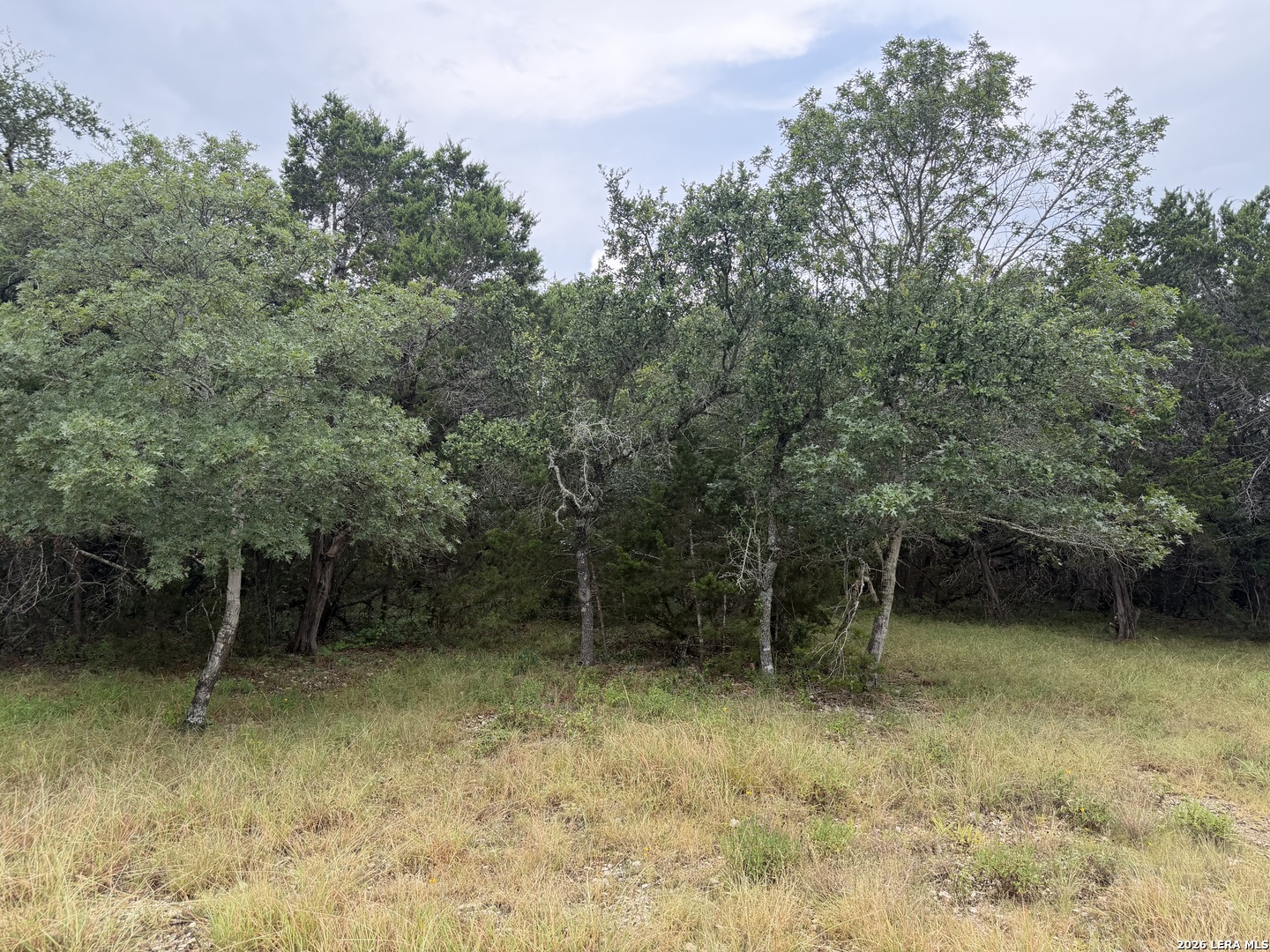 197 Rosenberry Bulverde TX 78163