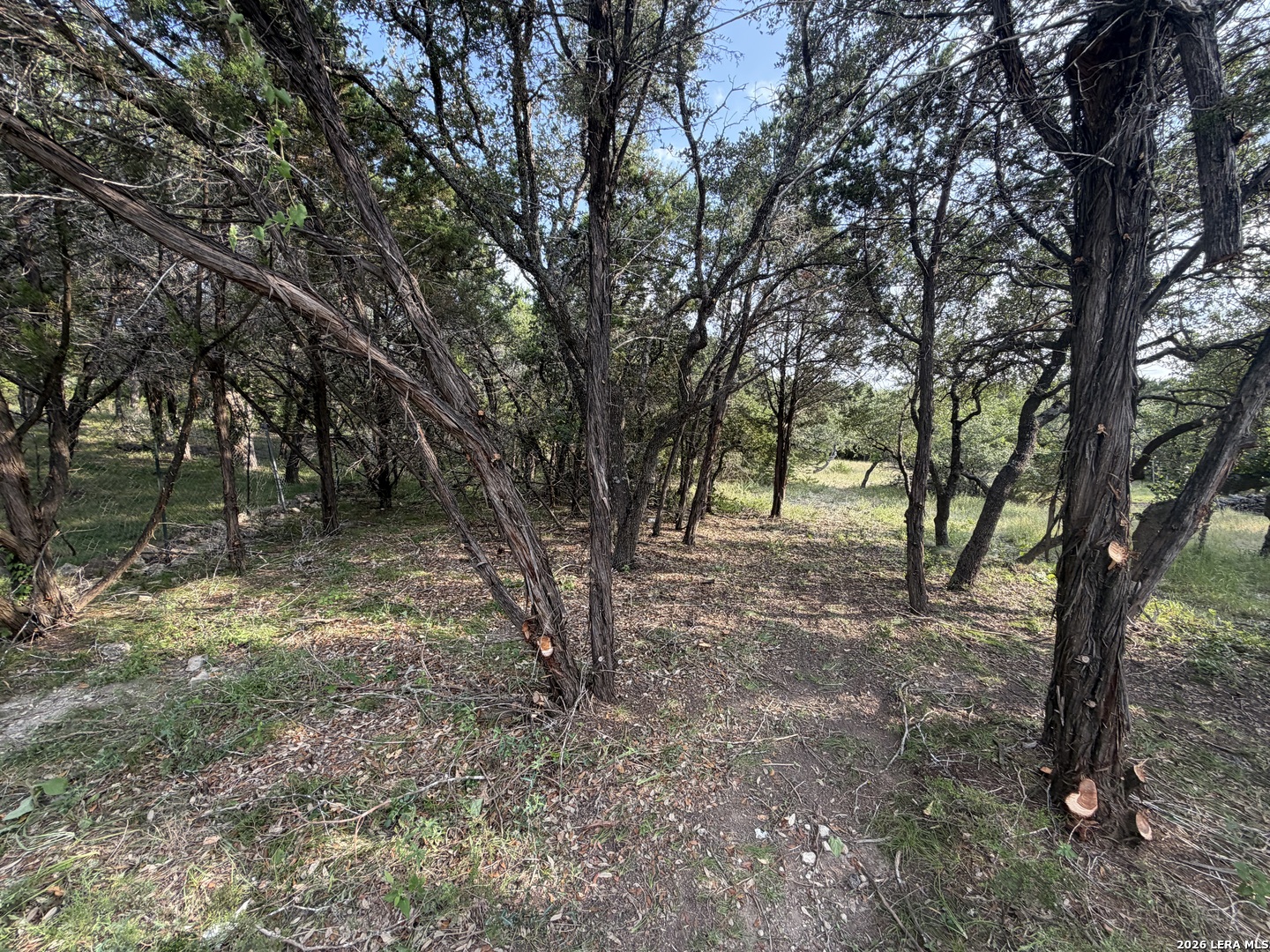 197 Rosenberry Bulverde TX 78163