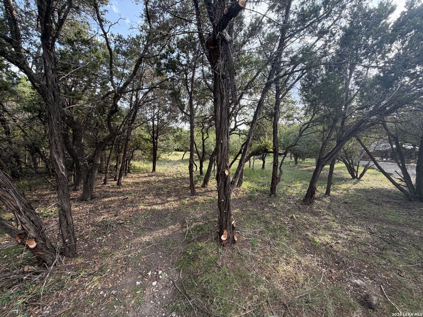 197 Rosenberry Bulverde TX 78163
