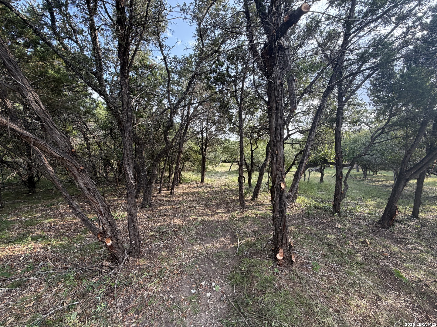 197 Rosenberry Bulverde TX 78163