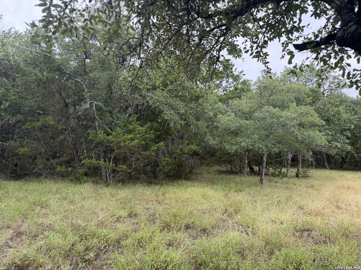 197 Rosenberry Bulverde TX 78163