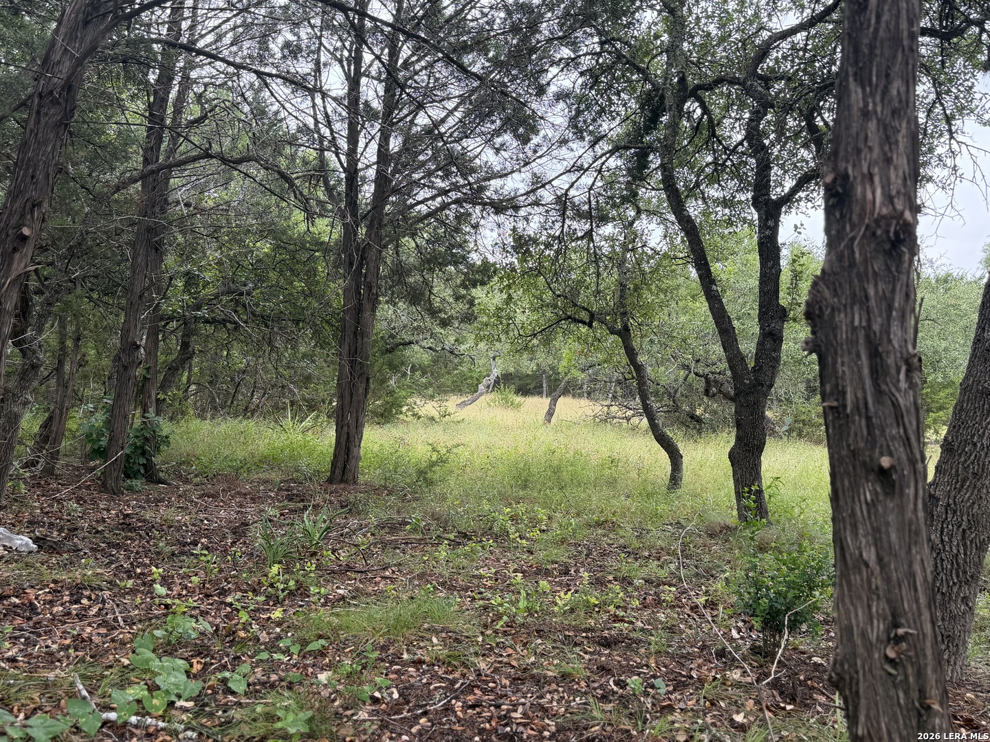197 Rosenberry Bulverde TX 78163