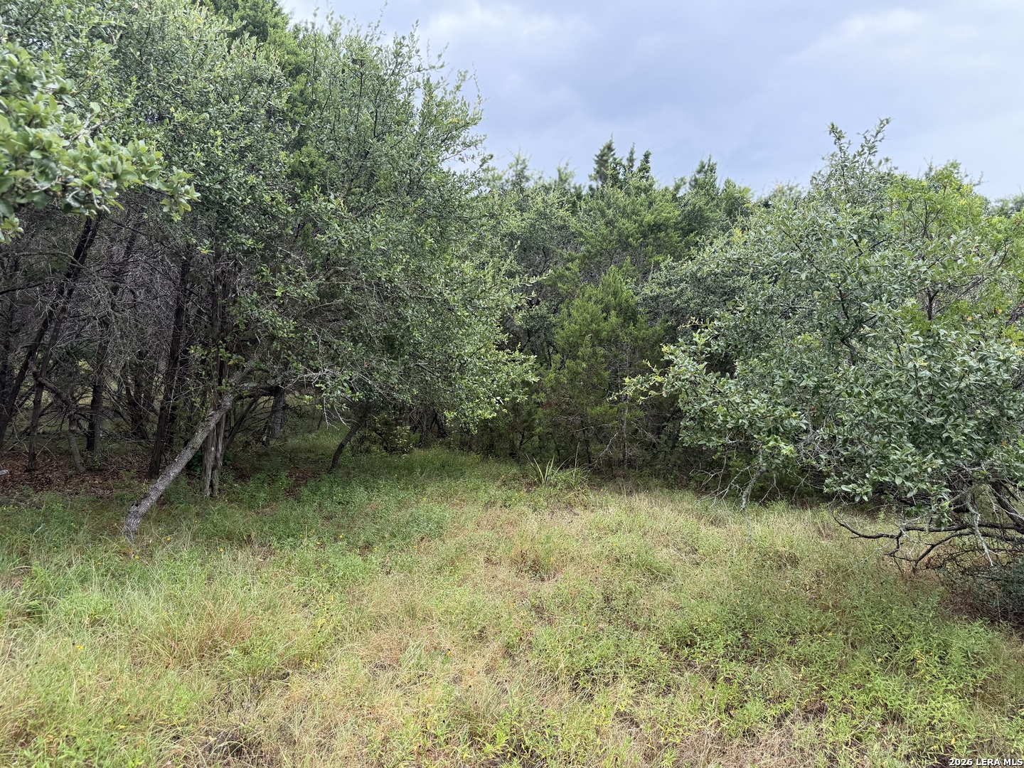 197 Rosenberry Bulverde TX 78163