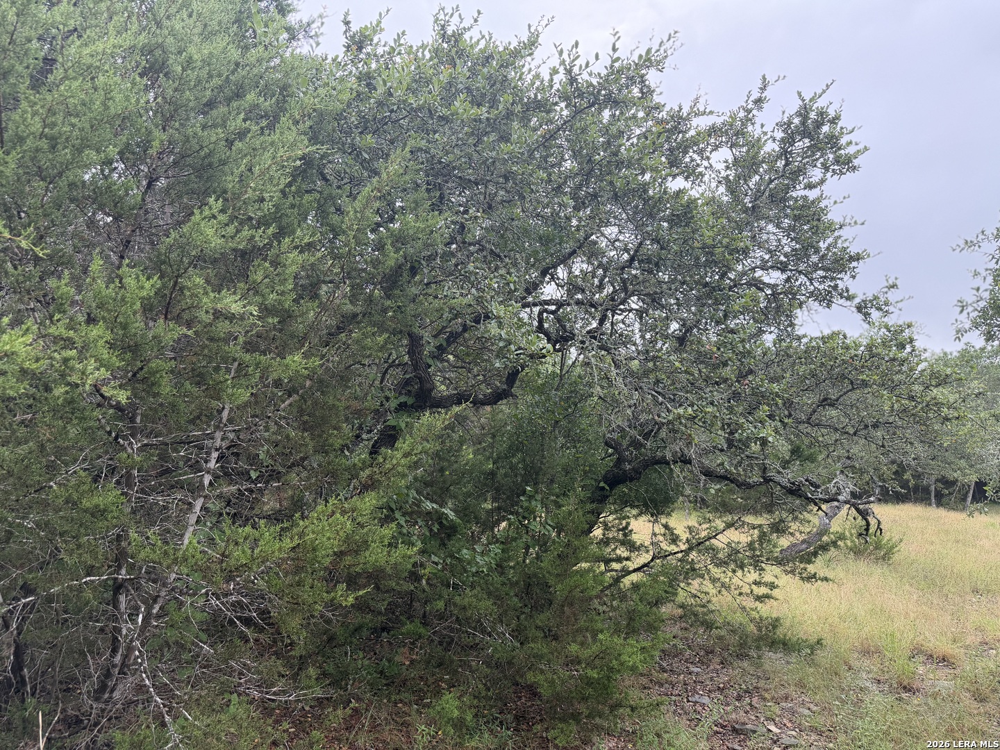197 Rosenberry Bulverde TX 78163