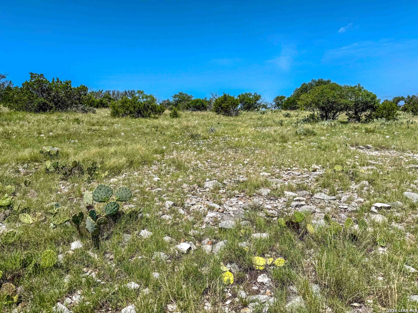 0 W Sd 42000 Rocksprings TX 78880
