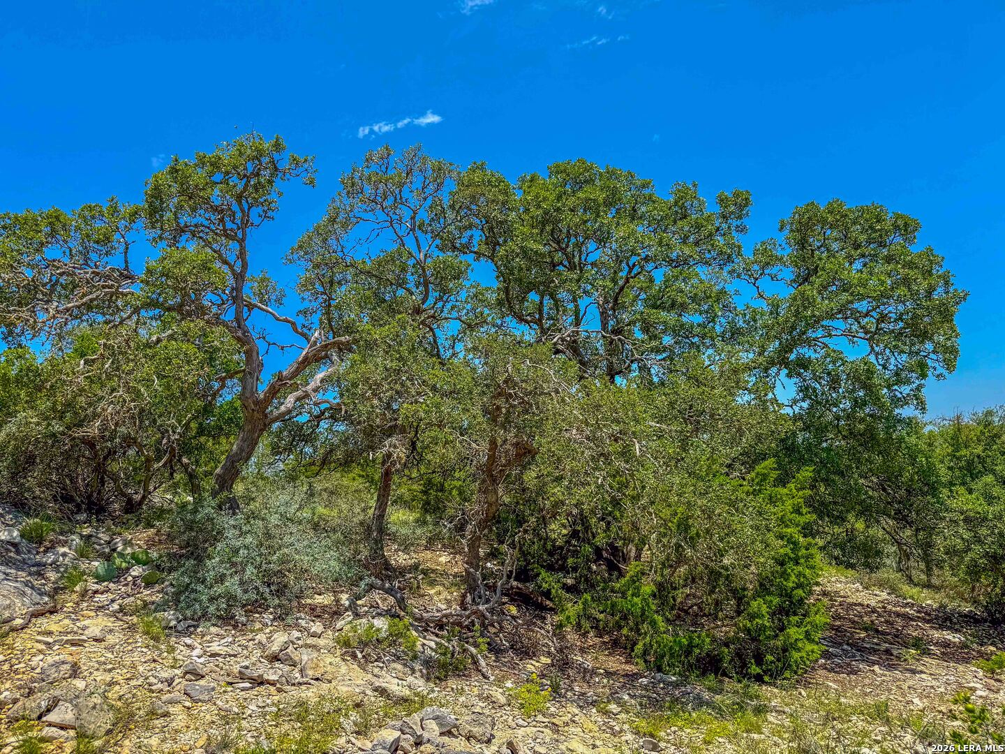 0 W Sd 42000 Rocksprings TX 78880