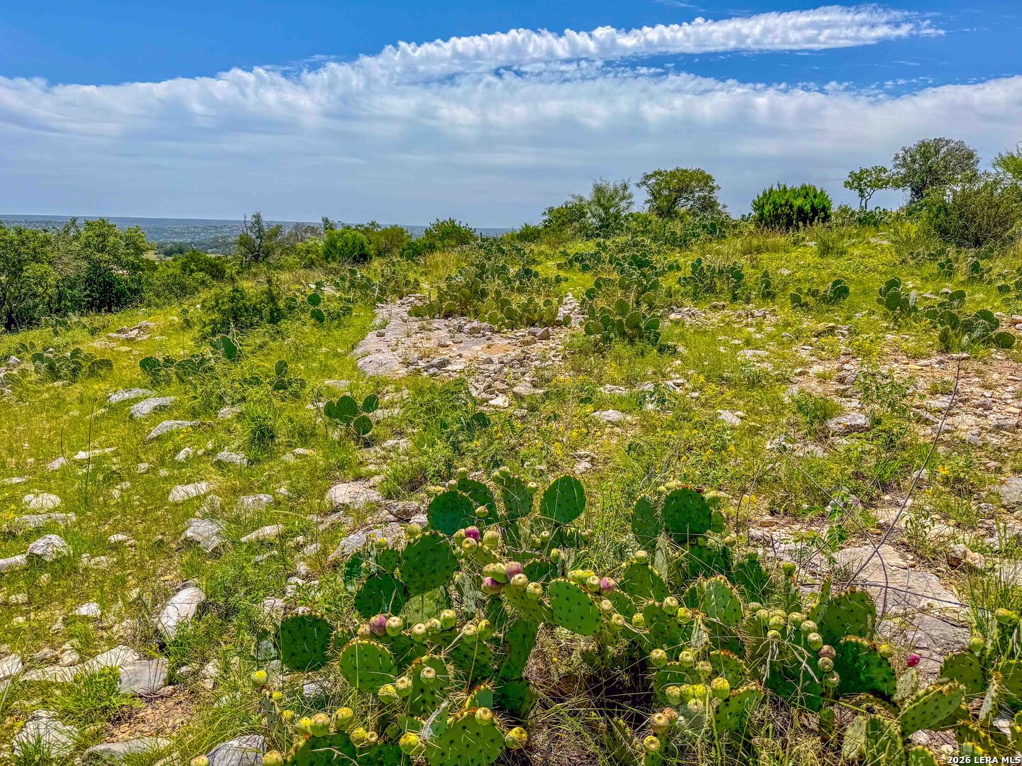 0 W Sd 42000 Rocksprings TX 78880