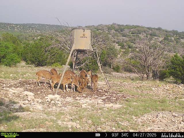 0 W Sd 42000 Rocksprings TX 78880