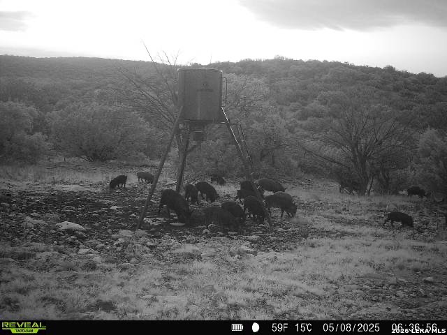 0 W Sd 42000 Rocksprings TX 78880