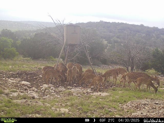 0 W Sd 42000 Rocksprings TX 78880