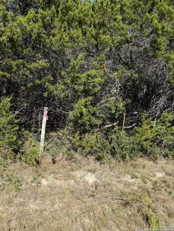 (LT) 396 Forest Trail Drive Bandera TX 78003