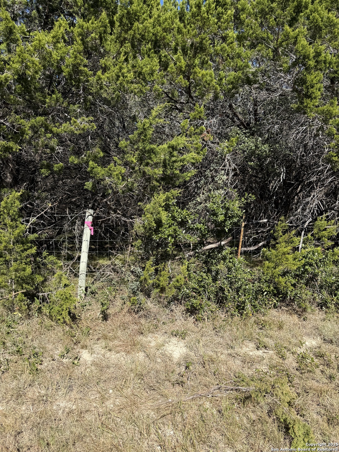 (LT) 396 Forest Trail Drive Bandera TX 78003