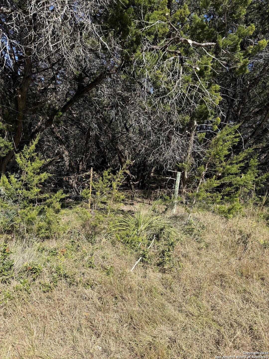 (LT) 396 Forest Trail Drive Bandera TX 78003