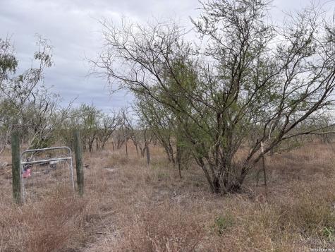 398 County Road 222 Orange Grove TX 78372