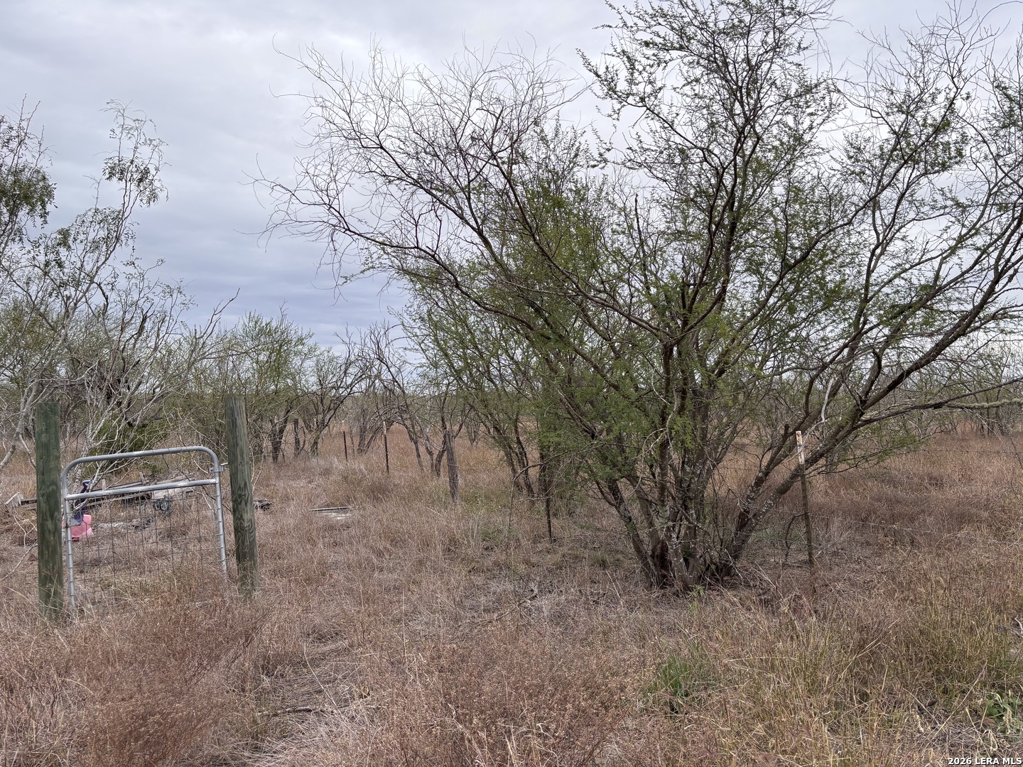 398 County Road 222 Orange Grove TX 78372