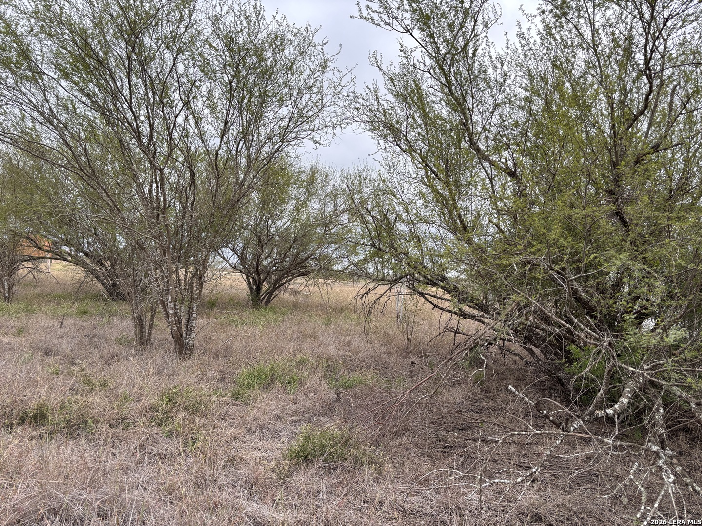 398 County Road 222 Orange Grove TX 78372