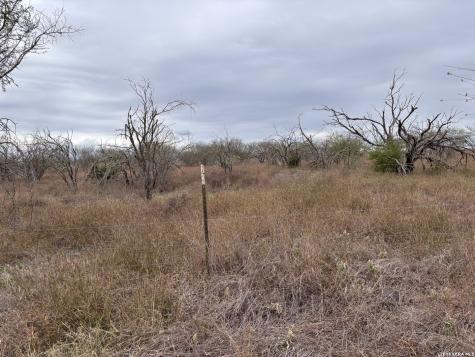 398 County Road 222 Orange Grove TX 78372