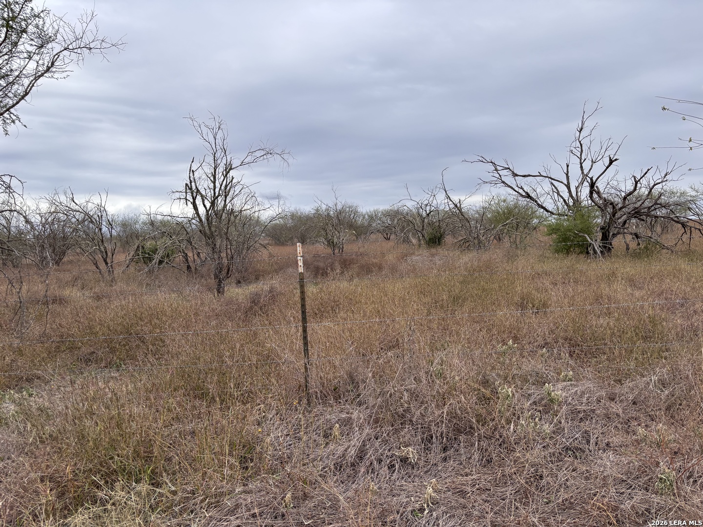 398 County Road 222 Orange Grove TX 78372