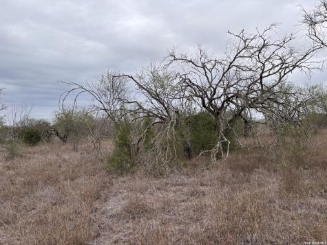 398 County Road 222 Orange Grove TX 78372