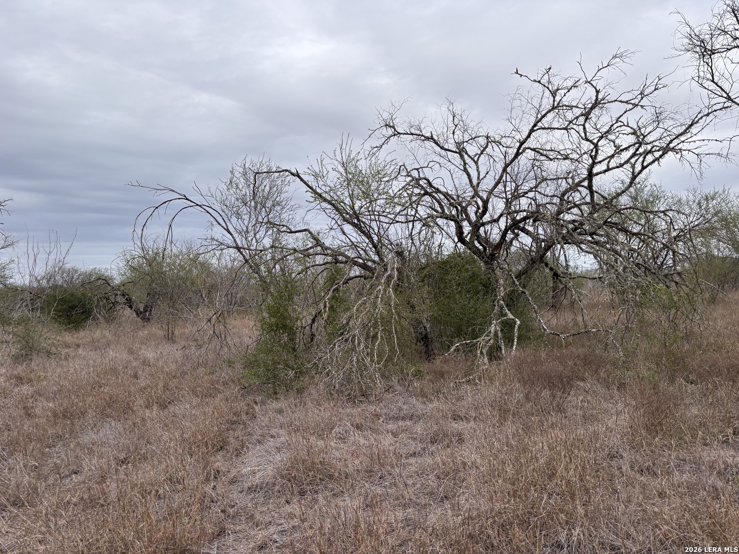398 County Road 222 Orange Grove TX 78372