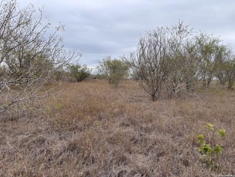 398 County Road 222 Orange Grove TX 78372