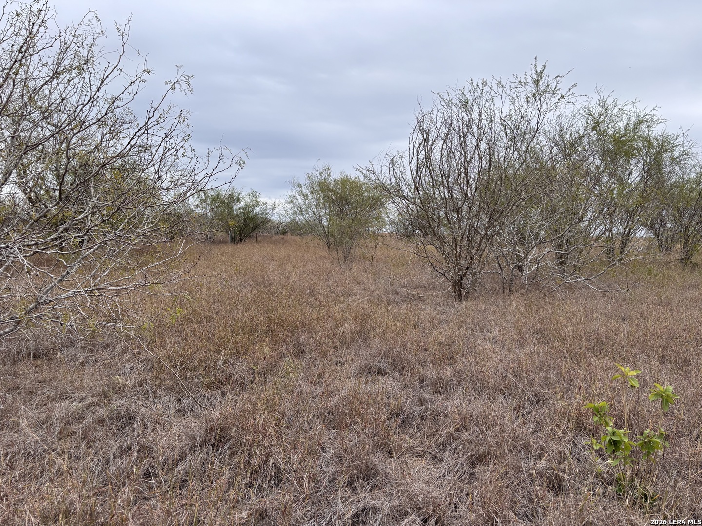 398 County Road 222 Orange Grove TX 78372