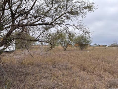 398 County Road 222 Orange Grove TX 78372