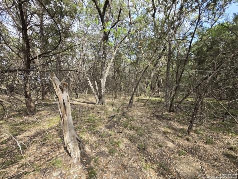 555 Iroquois Trail Bandera TX 78003
