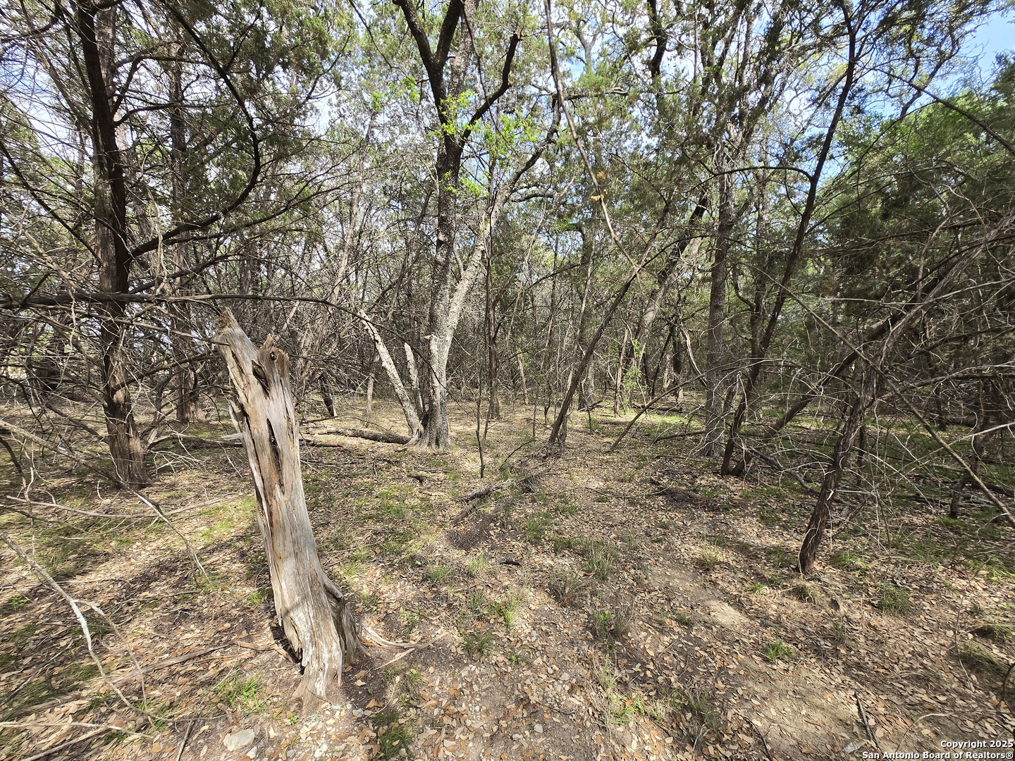 555 Iroquois Trail Bandera TX 78003