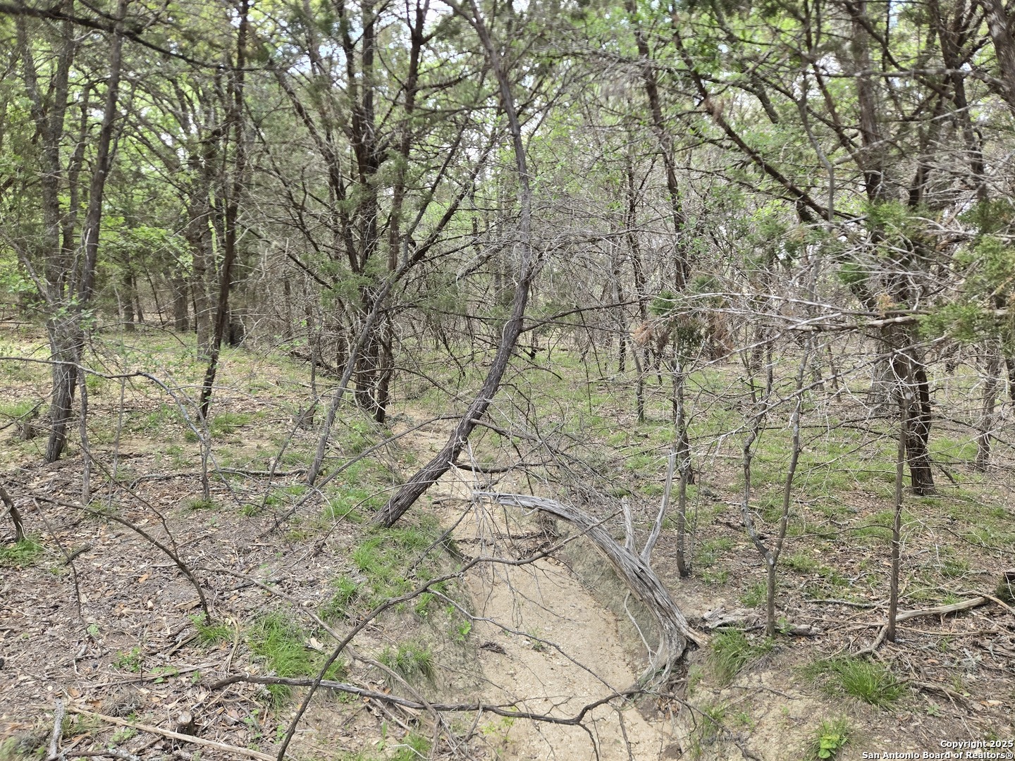 555 Iroquois Trail Bandera TX 78003