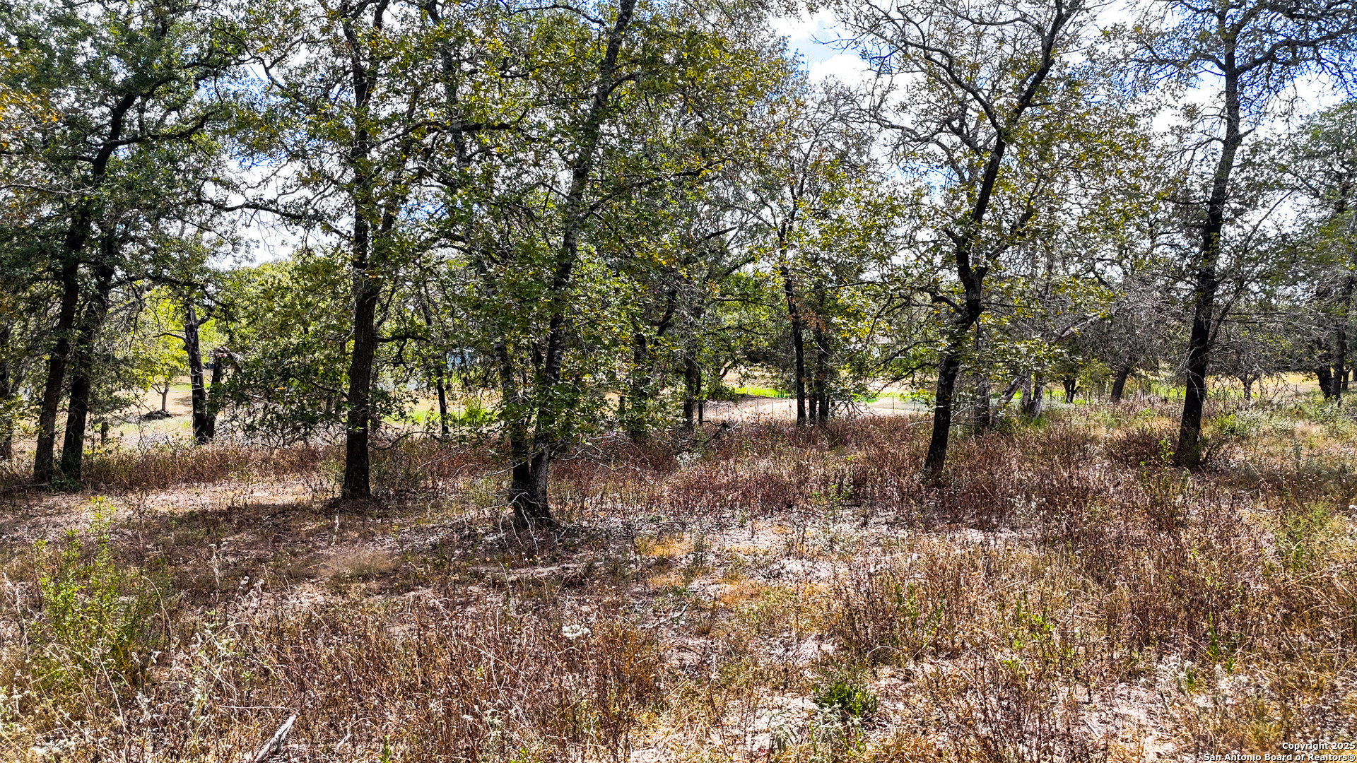 141 Oak Hill La Vernia TX 78121