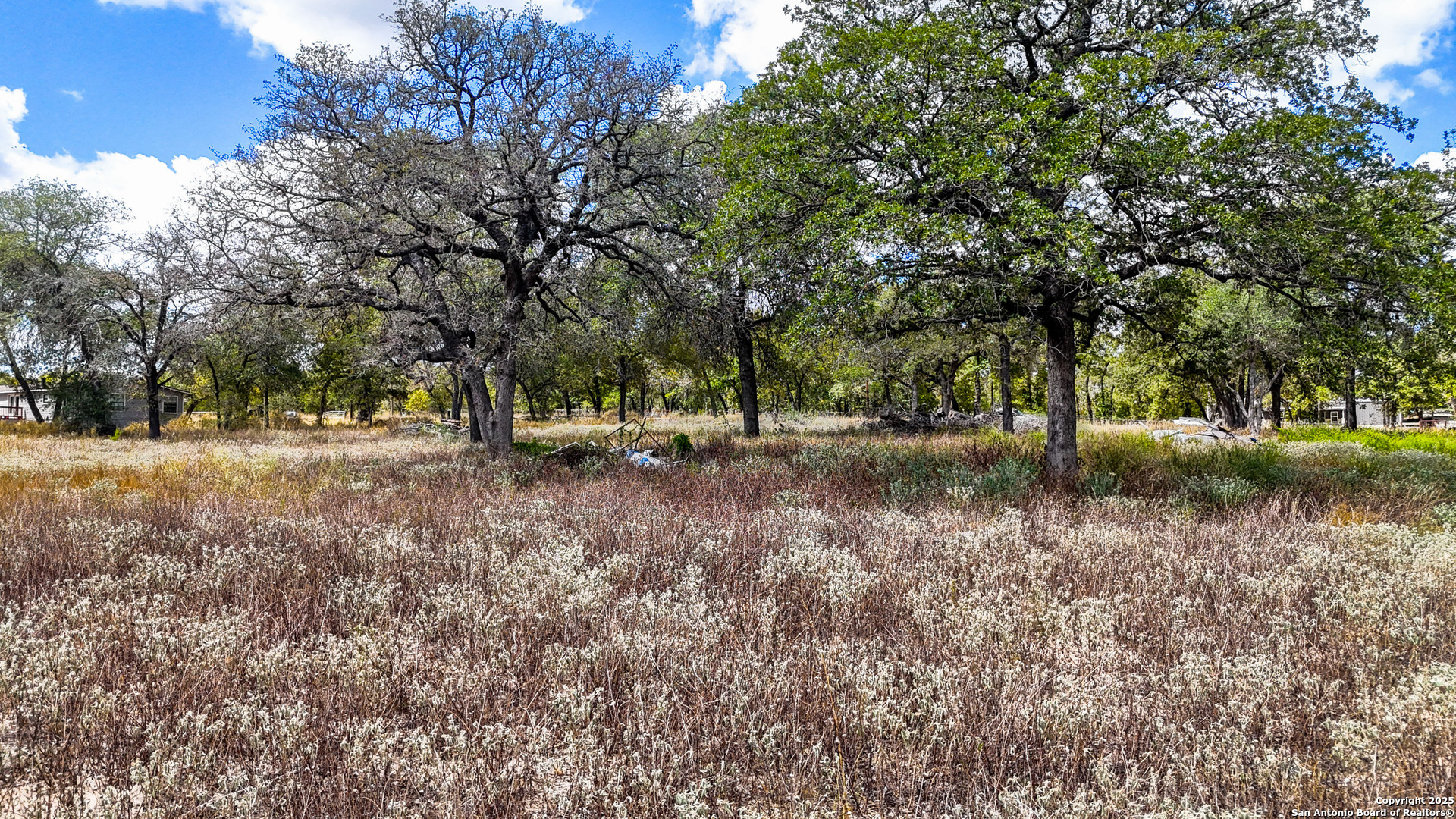 141 Oak Hill La Vernia TX 78121