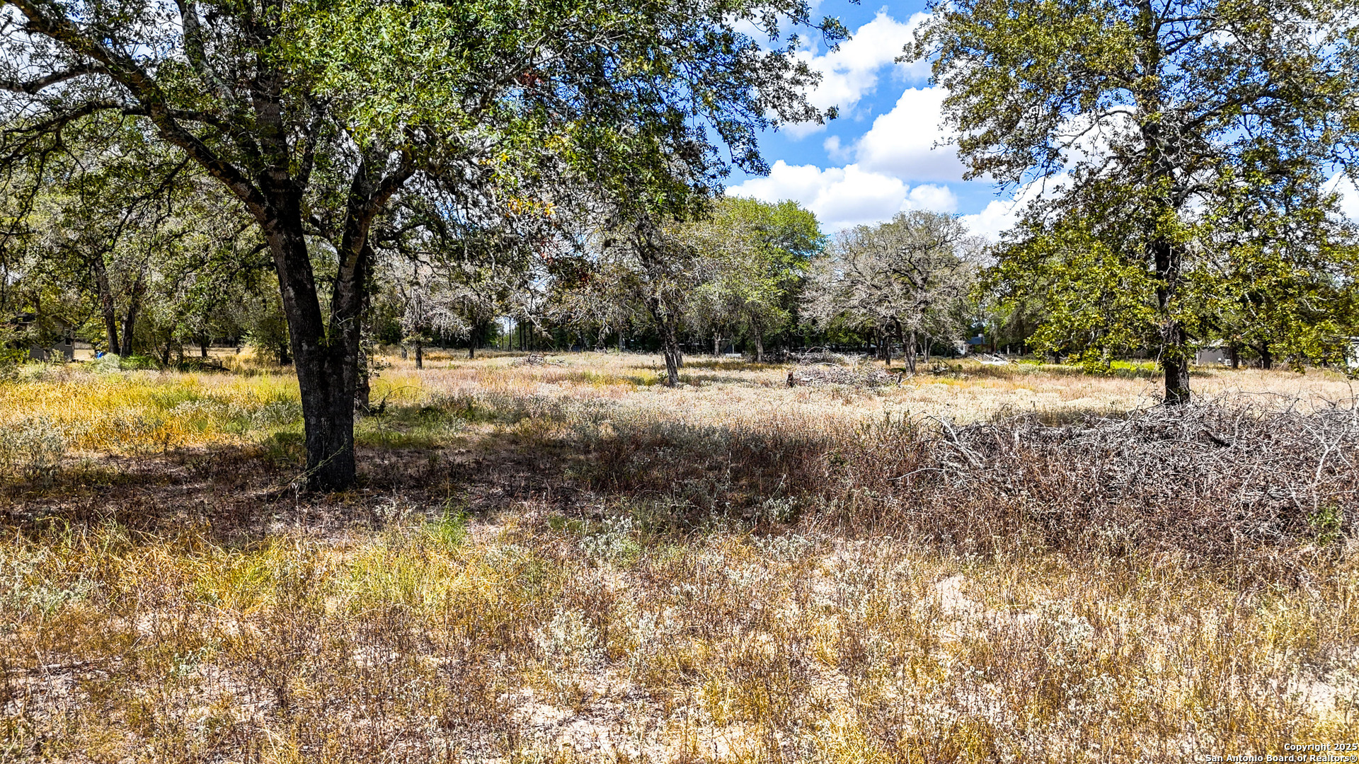 141 Oak Hill La Vernia TX 78121