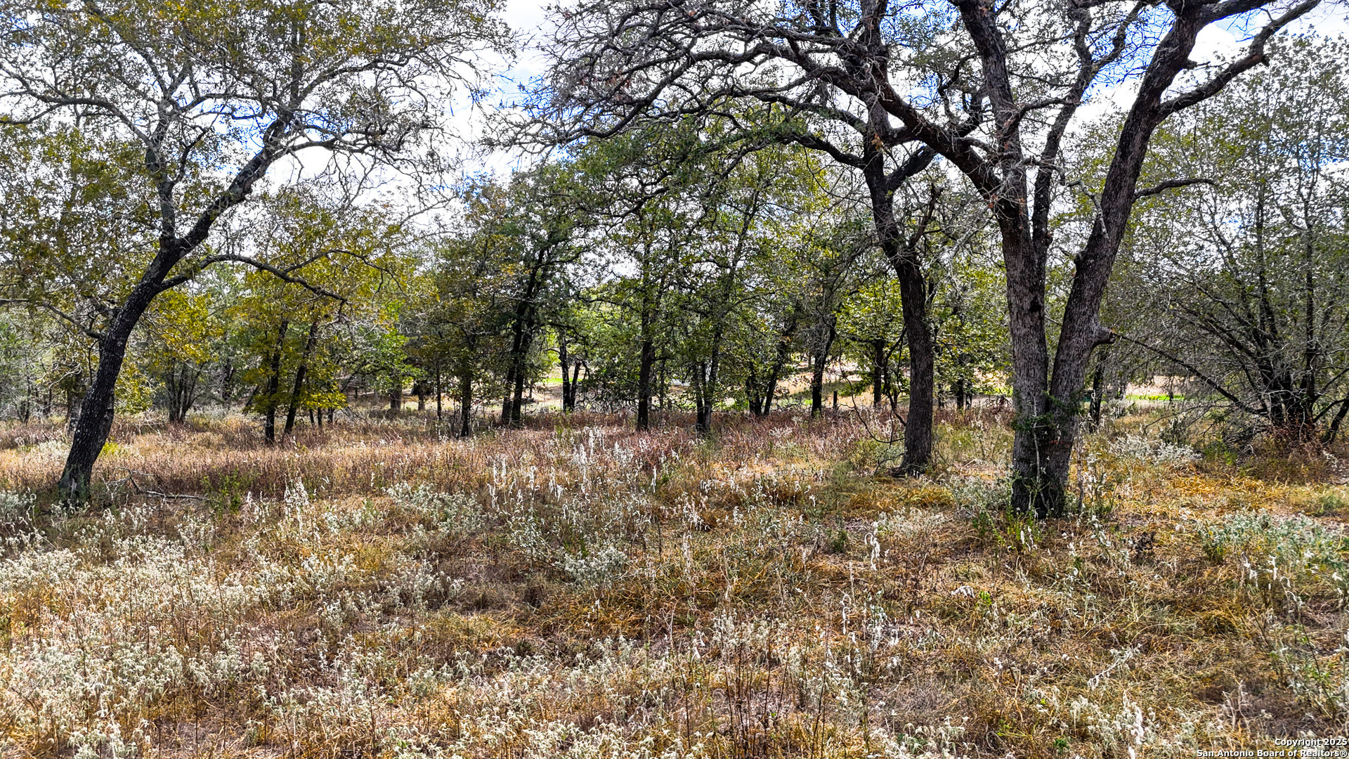 141 Oak Hill La Vernia TX 78121