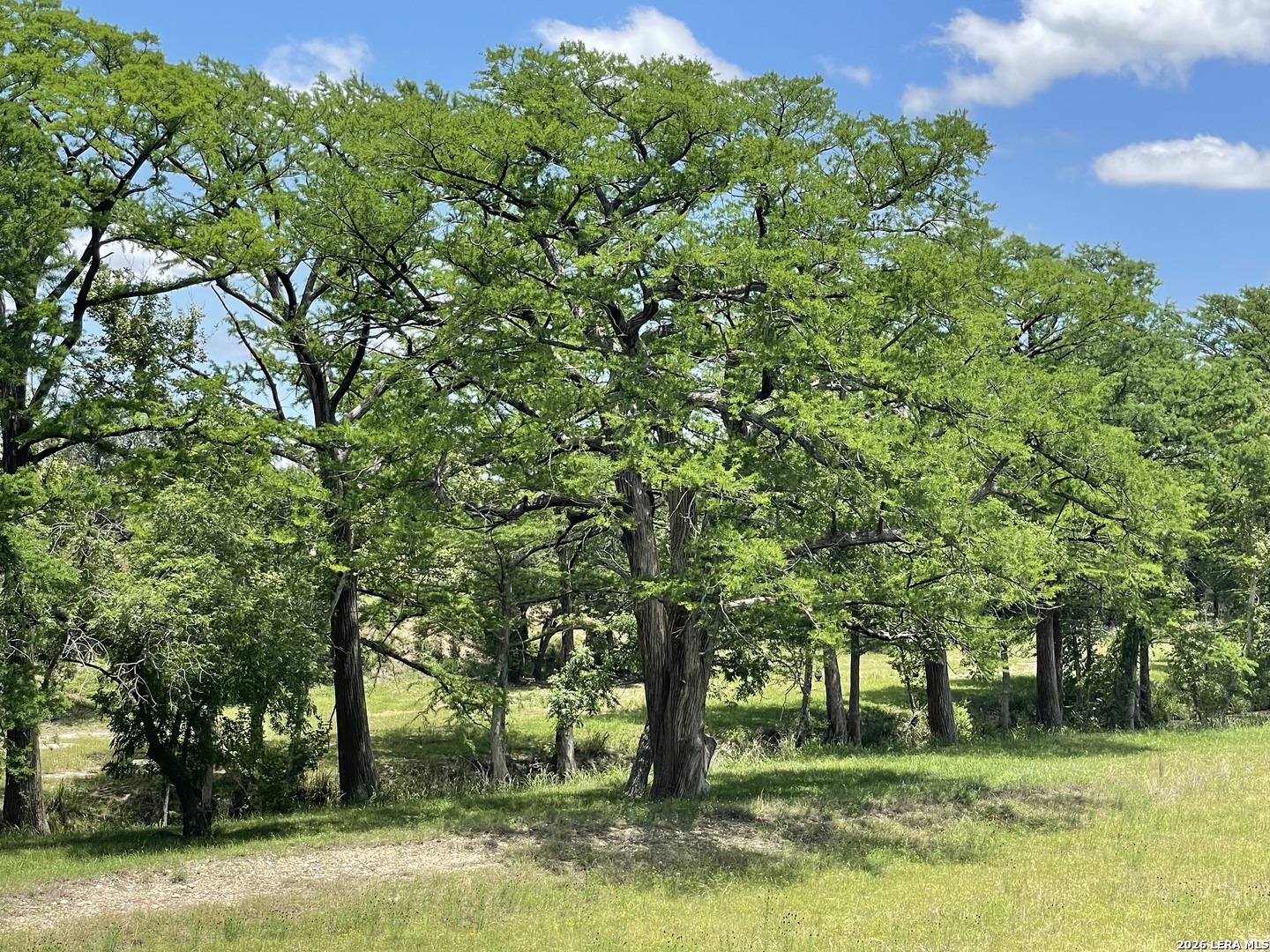 143 Coldwater Drive Center Point TX 78010