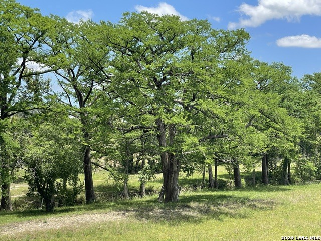 143 Coldwater Drive Center Point TX 78010